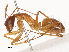  ( - CBG-B01005-B05)  @11 [ ] CreativeCommons - Attribution Share - Alike (2025) CBG Photography Group Centre for Biodiversity Genomics