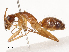  ( - CBG-B01005-B06)  @11 [ ] CreativeCommons - Attribution Share - Alike (2025) CBG Photography Group Centre for Biodiversity Genomics