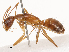 ( - CBG-B01005-B07)  @11 [ ] CreativeCommons - Attribution Share - Alike (2025) CBG Photography Group Centre for Biodiversity Genomics