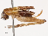  ( - CBG-B01170-A10)  @11 [ ] CreativeCommons - Attribution Share - Alike (2025) CBG Photography Group Centre for Biodiversity Genomics