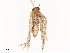  ( - CBG-B22931-E10)  @11 [ ] CreativeCommons - Attribution Share - Alike (2025) CBG Photography Group Centre for Biodiversity Genomics