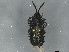  ( - BIOUG66389-B03)  @11 [ ] CreativeCommons - Attribution (2022) CBG Photography Group Centre for Biodiversity Genomics