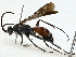  ( - BIOUG97734-E02)  @11 [ ] CreativeCommons - Attribution (2023) CBG Photography Group Centre for Biodiversity Genomics