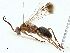  ( - BIOUG97734-H03)  @11 [ ] CreativeCommons - Attribution (2023) CBG Photography Group Centre for Biodiversity Genomics