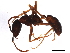  ( - BIOUG43288-A10)  @11 [ ] CreativeCommons - Attribution (2019) CBG Photography Group Centre for Biodiversity Genomics