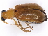  ( - BIOUG39749-E02)  @11 [ ] CreativeCommons - Attribution (2021) CBG Photography Group Centre for Biodiversity Genomics