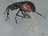  ( - BIOUG41171-B12)  @11 [ ] CreativeCommons - Attribution (2022) CBG Photography Group Centre for Biodiversity Genomics