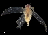  ( - BIOUG41281-E10)  @11 [ ] CreativeCommons - Attribution (2019) CBG Photography Group Centre for Biodiversity Genomics