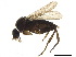  ( - BIOUG41306-G10)  @13 [ ] CreativeCommons - Attribution (2018) CBG Photography Group Centre for Biodiversity Genomics