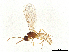  ( - BIOUG41329-B10)  @11 [ ] CreativeCommons - Attribution Share-Alike (2024) CBG Photography Group Centre for Biodiversity Genomics
