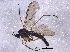  ( - BIOUG14949-A09)  @13 [ ] CreativeCommons - Attribution (2014) CBG Photography Group Centre for Biodiversity Genomics