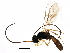  ( - BIOUG14957-A06)  @14 [ ] CreativeCommons - Attribution (2015) CBG Photography Group Centre for Biodiversity Genomics