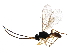  ( - BIOUG14957-A12)  @15 [ ] CreativeCommons - Attribution (2015) CBG Photography Group Centre for Biodiversity Genomics