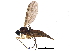  ( - BIOUG14985-E08)  @14 [ ] CreativeCommons - Attribution (2014) CBG Photography Group Centre for Biodiversity Genomics