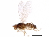  ( - BIOUG14992-G05)  @11 [ ] CreativeCommons - Attribution (2017) CBG Photography Group Centre for Biodiversity Genomics