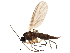  ( - BIOUG14992-H04)  @14 [ ] CreativeCommons - Attribution (2016) CBG Photography Group Centre for Biodiversity Genomics