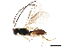  ( - BIOUG15047-F04)  @13 [ ] CreativeCommons - Attribution (2019) CBG Photography Group Centre for Biodiversity Genomics