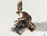 ( - BIOUG15049-E02)  @11 [ ] CreativeCommons - Attribution (2022) CBG Photography Group Centre for Biodiversity Genomics
