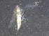 ( - BIOUG15050-B05)  @13 [ ] CreativeCommons - Attribution (2017) CBG Photography Group Centre for Biodiversity Genomics