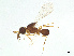  ( - BIOUG15112-A10)  @11 [ ] CreativeCommons - Attribution Share - Alike (2025) CBG Photography Group Centre for Biodiversity Genomics