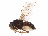  ( - BIOUG15116-D11)  @11 [ ] CreativeCommons - Attribution (2017) CBG Photography Group Centre for Biodiversity Genomics