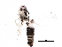  ( - BIOUG15077-G10)  @12 [ ] CreativeCommons - Attribution (2015) CBG Photography Group Centre for Biodiversity Genomics