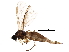  ( - BIOUG15149-H05)  @14 [ ] CreativeCommons - Attribution (2016) CBG Photography Group Centre for Biodiversity Genomics