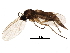 ( - BIOUG15247-E04)  @13 [ ] CreativeCommons - Attribution (2016) CBG Photography Group Centre for Biodiversity Genomics