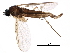  ( - BIOUG15254-D01)  @14 [ ] CreativeCommons - Attribution (2016) CBG Photography Group Centre for Biodiversity Genomics