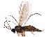  ( - BIOUG15255-F01)  @14 [ ] CreativeCommons - Attribution (2015) CBG Photography Group Centre for Biodiversity Genomics