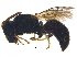  ( - BIOUG15354-E11)  @13 [ ] CreativeCommons - Attribution (2017) CBG Photography Group Centre for Biodiversity Genomics
