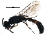  ( - BIOUG15370-E07)  @14 [ ] CreativeCommons - Attribution (2016) CBG Photography Group Centre for Biodiversity Genomics