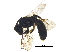 ( - BIOUG15375-H01)  @12 [ ] CreativeCommons - Attribution (2017) CBG Photography Group Centre for Biodiversity Genomics