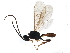  ( - BIOUG15443-G12)  @11 [ ] CreativeCommons - Attribution (2019) CBG Photography Group Centre for Biodiversity Genomics