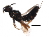  ( - BIOUG15618-A12)  @13 [ ] CreativeCommons - Attribution (2017) CBG Photography Group Centre for Biodiversity Genomics