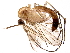  ( - BIOUG15744-F12)  @11 [ ] CreativeCommons - Attribution (2017) CBG Photography Group Centre for Biodiversity Genomics