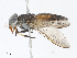 ( - CBG-A07114-A11)  @11 [ ] CreativeCommons - Attribution Share - Alike (2023) CBG Photography Group Centre for Biodiversity Genomics