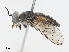  ( - CBG-A07114-F02)  @11 [ ] CreativeCommons - Attribution Share - Alike (2023) CBG Photography Group Centre for Biodiversity Genomics