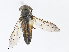  ( - CBG-A07115-B10)  @11 [ ] CreativeCommons - Attribution Share - Alike (2023) CBG Photography Group Centre for Biodiversity Genomics