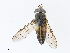  ( - CBG-A07115-B12)  @11 [ ] CreativeCommons - Attribution Share - Alike (2023) CBG Photography Group Centre for Biodiversity Genomics