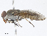  ( - CBG-A07115-E08)  @11 [ ] CreativeCommons - Attribution Share - Alike (2023) CBG Photography Group Centre for Biodiversity Genomics
