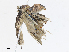  ( - CBG-A13210-A02)  @11 [ ] CreativeCommons - Attribution Share - Alike (2023) CBG Photography Group Centre for Biodiversity Genomics