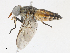  ( - CBG-A13210-F06)  @11 [ ] CreativeCommons - Attribution Share - Alike (2023) CBG Photography Group Centre for Biodiversity Genomics