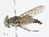  ( - CBG-A13211-B04)  @11 [ ] CreativeCommons - Attribution Share - Alike (2023) CBG Photography Group Centre for Biodiversity Genomics