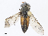  ( - CBG-A13211-B10)  @11 [ ] CreativeCommons - Attribution Share - Alike (2023) CBG Photography Group Centre for Biodiversity Genomics