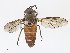  ( - CBG-A13211-D07)  @11 [ ] CreativeCommons - Attribution Share - Alike (2023) CBG Photography Group Centre for Biodiversity Genomics