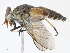 ( - CBG-A13211-D10)  @11 [ ] CreativeCommons - Attribution Share - Alike (2023) CBG Photography Group Centre for Biodiversity Genomics