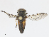  ( - CBG-A13211-E03)  @11 [ ] CreativeCommons - Attribution Share - Alike (2023) CBG Photography Group Centre for Biodiversity Genomics
