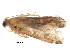  ( - BIOUG18603-B04)  @12 [ ] CreativeCommons - Attribution (2016) CBG Photography Group Centre for Biodiversity Genomics