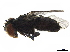  ( - BIOUG18603-C11)  @12 [ ] CreativeCommons - Attribution (2019) CBG Photography Group Centre for Biodiversity Genomics